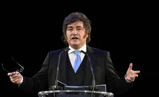 Argentina arremete contra la OMS y la acusa de usar el hantavirus para 