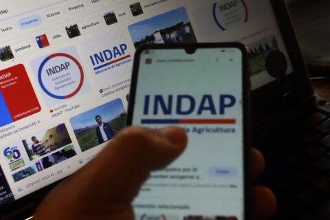 Contraloría destapa irregularidades en INDAP: Se dieron créditos a personas con autos de lujo y plantaciones de marihuana