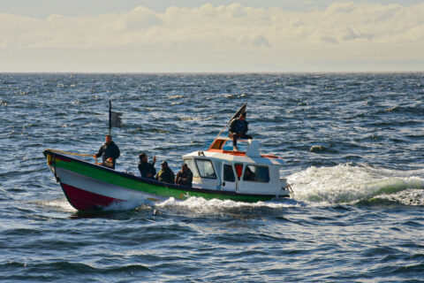 Tres desaparecidos deja volcamiento de lancha a motor en Talcahuano: Armada desplegó amplio operativo de búsqueda