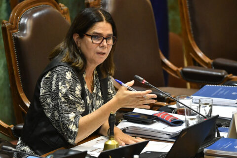 Diputada Osssándon por salida de Steinert y Sedini: 