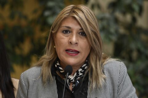 “Me la jugué por el gobierno y me falló”: Zandra Parisi (PDG) anuncia quiebre previo a votación de la megareforma en la Cámara
