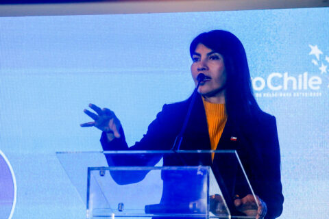 Ministra Lincolao admite que no declaró sociedades y plantea que otros ministros hicieron lo mismo: 