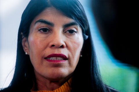 Diputados PS presentan requerimiento ante Contraloría por sociedades no declaradas de ministra Lincolao