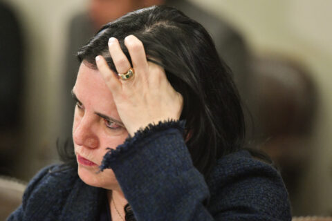 Ministra Steinert confirma investigación por infiltración cibernética en organismo público tras robo de credenciales