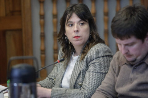 “Este es un muy mal proyecto. La oposición tiene que hacer su pega”: Constanza Martínez cuestiona Plan de Reconstrucción
