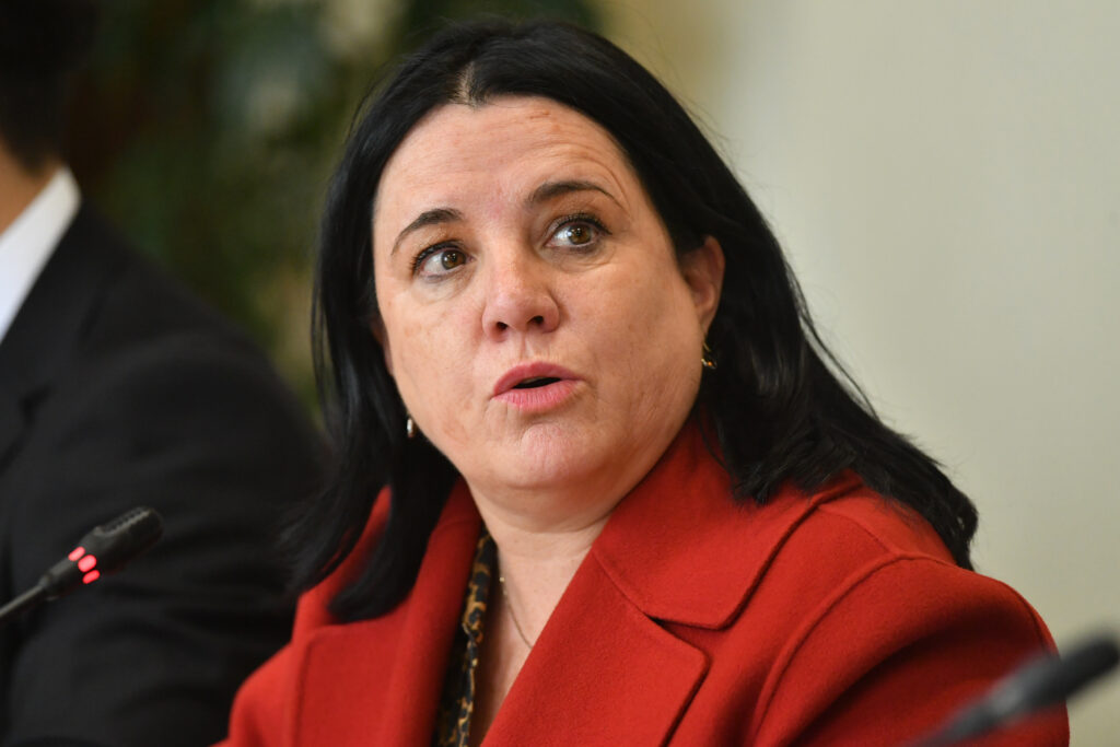 Oposición y PDG anuncian interpelación a la ministra Steinert por plan de seguridad: 