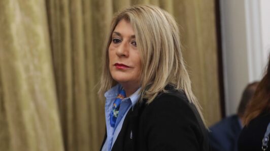 Megarreforma: Diputada Parisi dice que están 