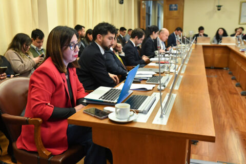 Comisión de Medio Ambiente de la Cámara votará proyecto de reconstrucción del Gobierno/Agencia Uno