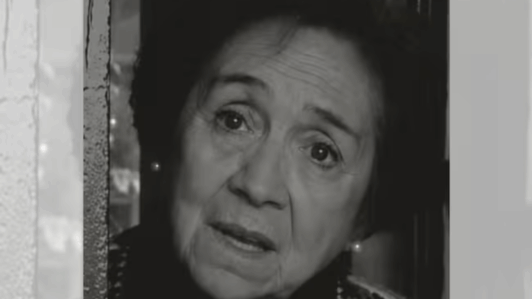 Confirman muerte de Teresa Berrios, histórica intérprete de la televisión chilena