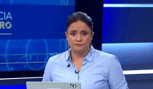 Rocío Montes y debate por plan de seguridad: “El problema de inseguridad no resiste metáforas ni hipérboles”