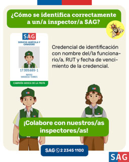 ¿Cómo identificar al equipo del SAG? @SAG