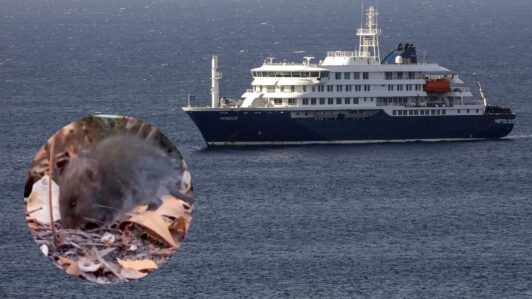 Hantavirus en crucero: Minsal confirma aislamiento preventivo de dos chilenos que abordaron el barco MV Hondius