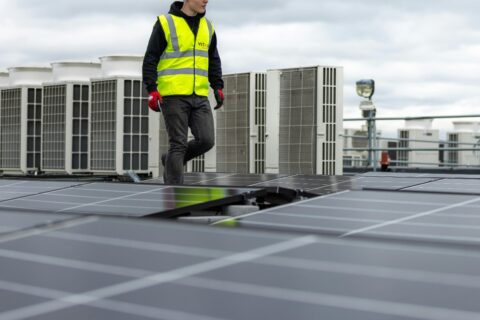 ¿Cómo elegir un proveedor de suministro eléctrico para tu empresa?