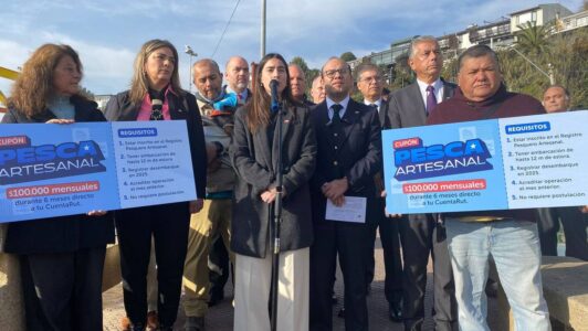 Gobierno detalla entrega de Cupón de Pesca Artesanal: ¿Cómo acceder a los $100 mil mensuales?