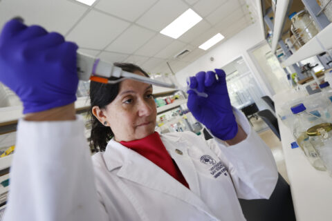 Científicos chilenos buscan fondos para avanzar en una vacuna contra el hantavirus