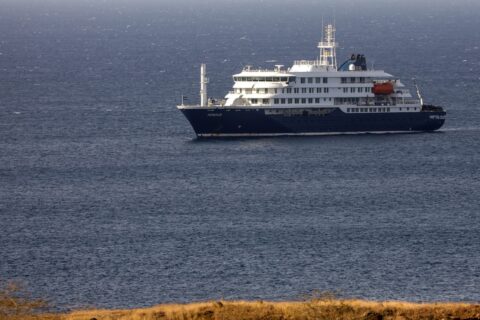 Argentina investiga si turistas que murieron de hantavirus en crucero se contagiaron en el país, Chile o Uruguay