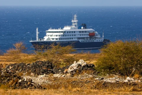 Minsal descarta que contagios primarios de hantavirus en crucero se hayan originado en Chile