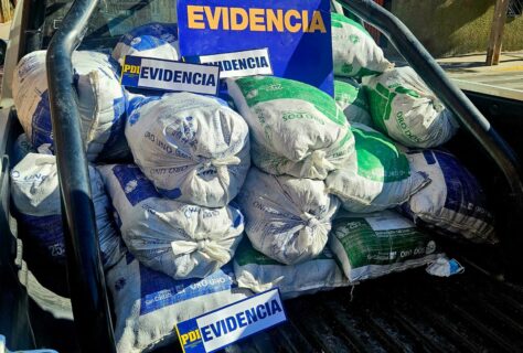 Operativo contra la extracción ilegal de machas en Caldera: Se incautaron 1,3 toneladas del recurso/Sernapesca