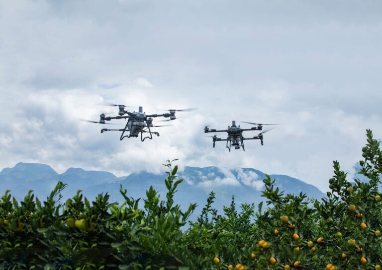 ¿Cómo la Inteligencia Artificial está optimizando la agricultura en Chile?
