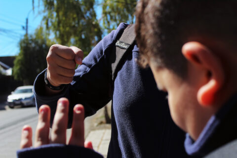 Oposición y PDG presentan requerimiento ante el Tribunal Constitucional contra el proyecto de Escuelas Protegidas