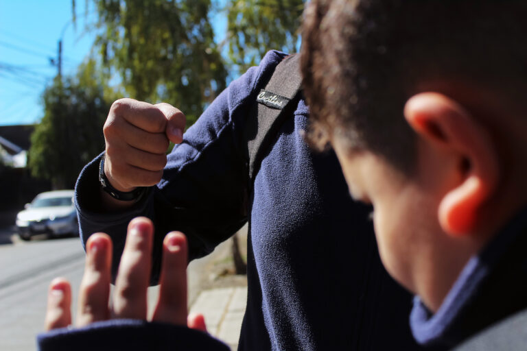 Oposición y PDG presentan requerimiento ante el Tribunal Constitucional contra el proyecto de Escuelas Protegidas