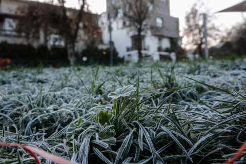 Hasta -4 °C y probabilidad de escarcha: DMC pronotica heladas para seis regiones de la zona central