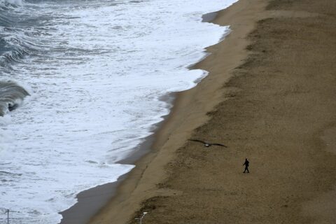 SHOA descarta amenaza de tsunami para las costas de Chile tras sismo de magnitud 8,2 en Filipinas