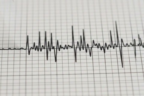 Temblor se percibe en la zona central del país