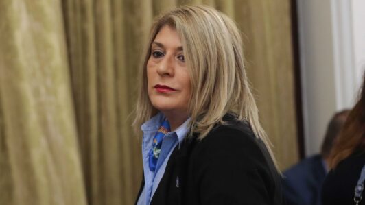 Diputada Parisi (PDG) tras salida de subsecretarios de Seguridad: 