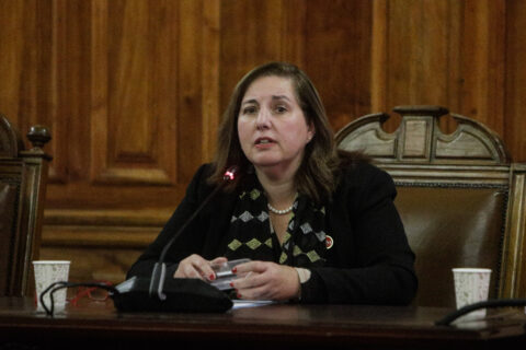 Senadora Vodanovic y despliegue de militares: 