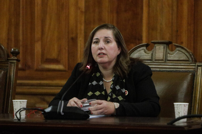 Senadora Vodanovic y despliegue de militares: 
