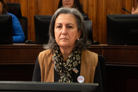 Ministra Chomali descarta recortes en salud: 