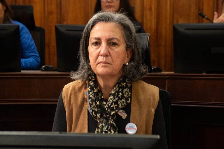 Ministra Chomali descarta recortes en salud: 