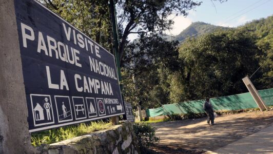 Conaf cierra preventivamente acceso a cumbre del Parque Nacional La Campana: Medida regirá hasta fines de agosto