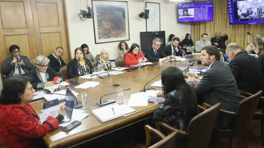 Avanza en la Cámara Baja el proyecto que prohíbe y sanciona la maternidad subrogada y tipifica sanciones