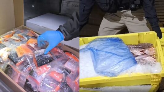 Contrabando de pesca ilegal: Caen 54 personas, incluidos carabineros y funcionarios públicos, por millonario fraude