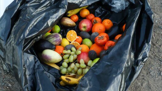 SAG realizó fiscalización simultánea en tres regiones por mosca de la fruta: Se controlaron más de 145 camiones de carga