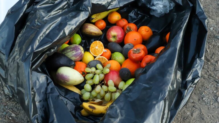 SAG realizó fiscalización simultánea en tres regiones por mosca de la fruta: Se controlaron más de 145 camiones de carga