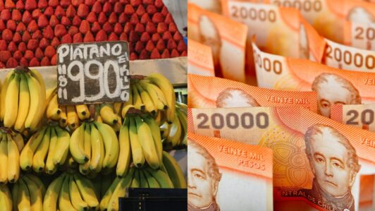 El fraude que involucró al mayor importador de plátanos en Chile: Cerró la causa tras pagar $104 millones