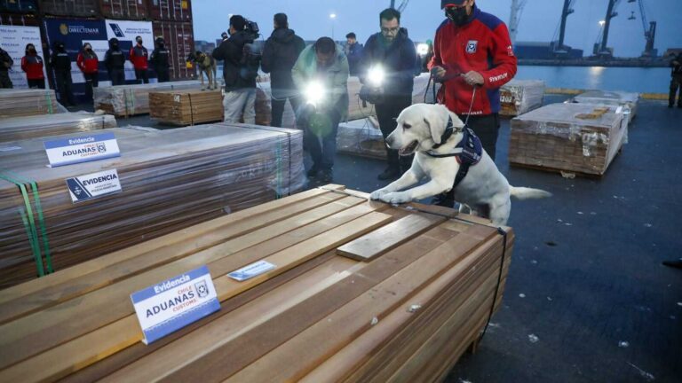 Incautan más de 100 toneladas de droga en puertos 