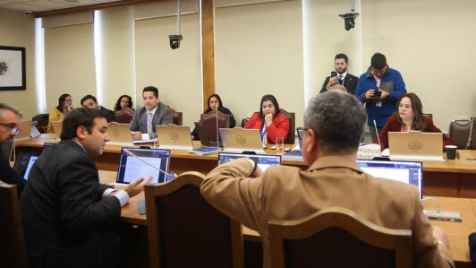 Cámara Baja: Comisión respalda proyecto que elimina el feriado irrenunciable en días de elecciones