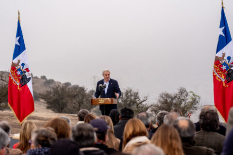 Reforestación comunitaria marca el Día Mundial del Medio Ambiente en el Cerro Colorado junto al Presidente José Antonio Kast