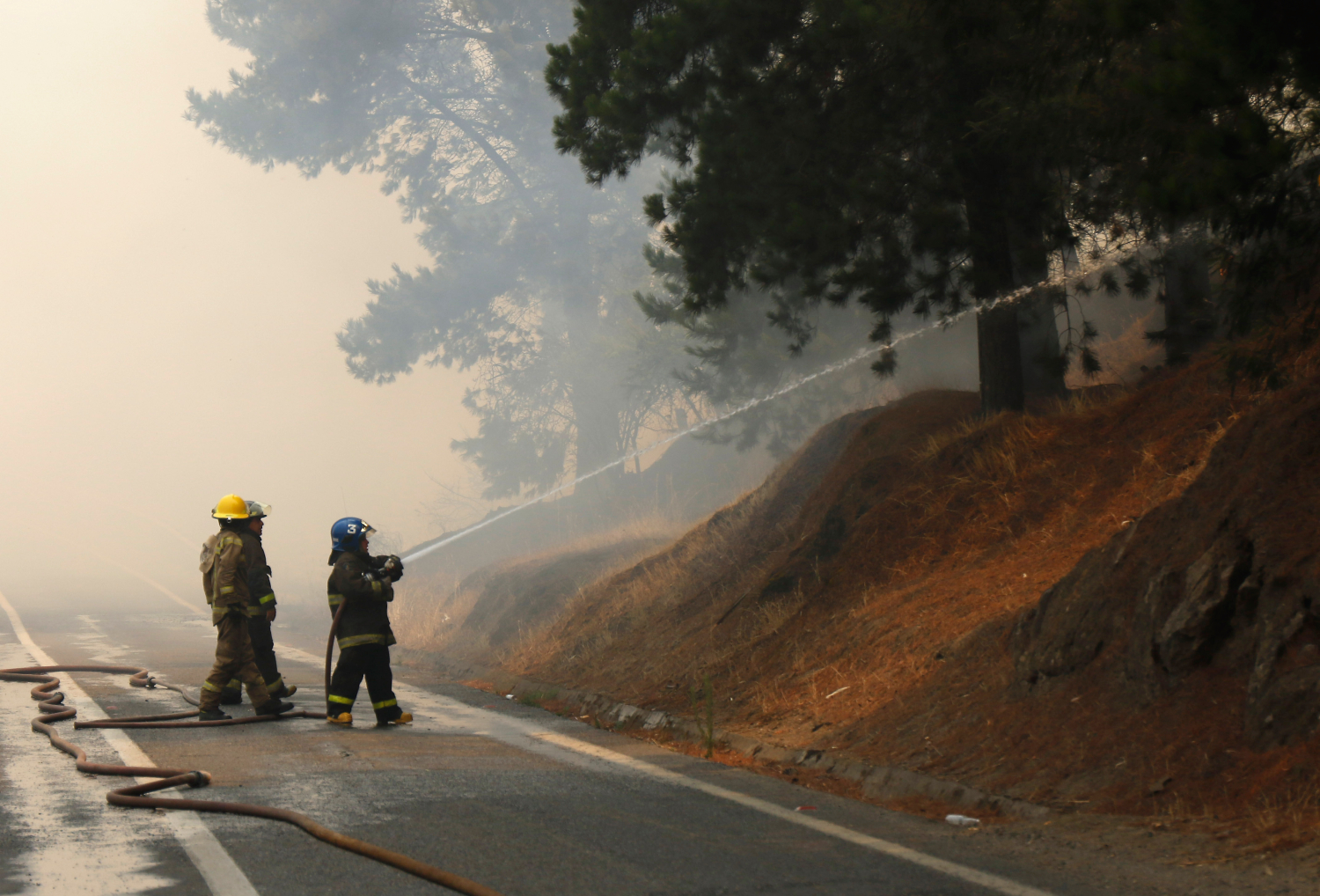 Senapred declara Alerta Amarilla en Pichilemu por incendio forestal que ya arrasa 50 hectáreas