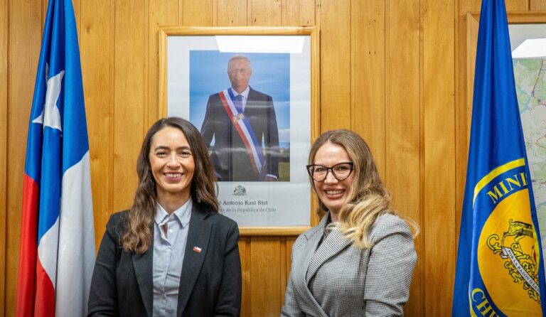 Nueva seremi de Desarrollo Social de Aysén por viaje al extranjero durante licencia médica: 