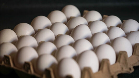 INE: Producción de huevos para consumo bajó 1,1% y número de gallinas de postura disminuyó 3,2% en mayo