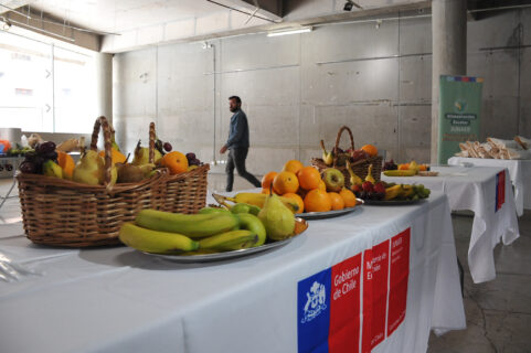 Programa de Alimentación Escolar de Junaeb bajo la lupa: Cámara aprueba comisión investigadora por gestión entre 2019 y 2024