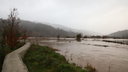 Senapred activó alerta SAE por crecidas de los ríos Pichilo y Curanilahue y llamó a evitar los sectores de las riberas