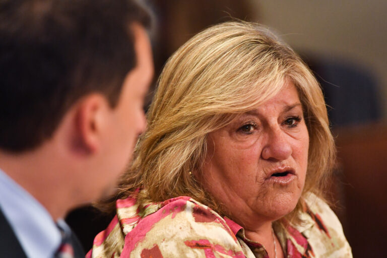 Comisión de DDHH y Pueblos Originarios de la Cámara aprueba modificación de la Ley Indígena