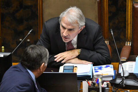 Megarreforma: Vicepresidente del Senado anuncia reunión de comités este martes para definir si se adelanta la votación