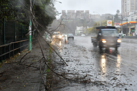 Meteorología actualiza alerta por viento en siete regiones: Se prevén rachas de hasta 90 km/h